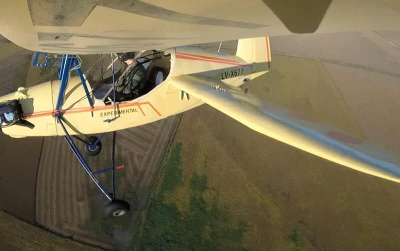 Pulga del cielo