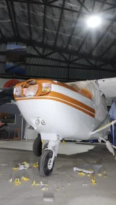 Pintura y reparaciones